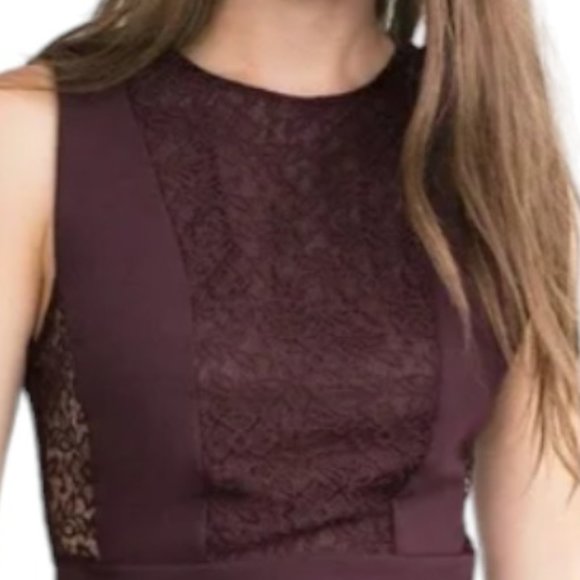 Zara Trafaluc Plum Purple Lace Mini Dress - Picture 6 of 13